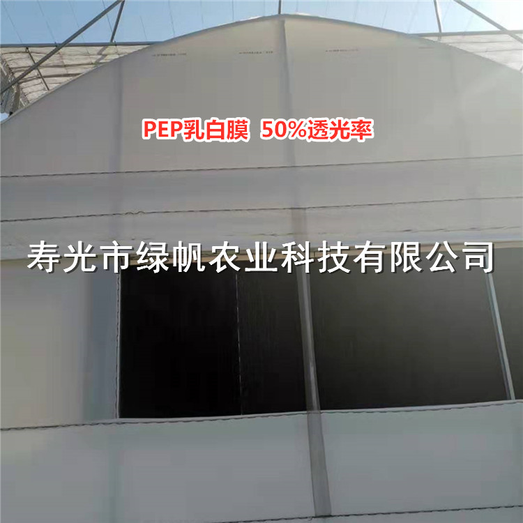 乳白膜圖片/乳白膜樣板圖 (3)