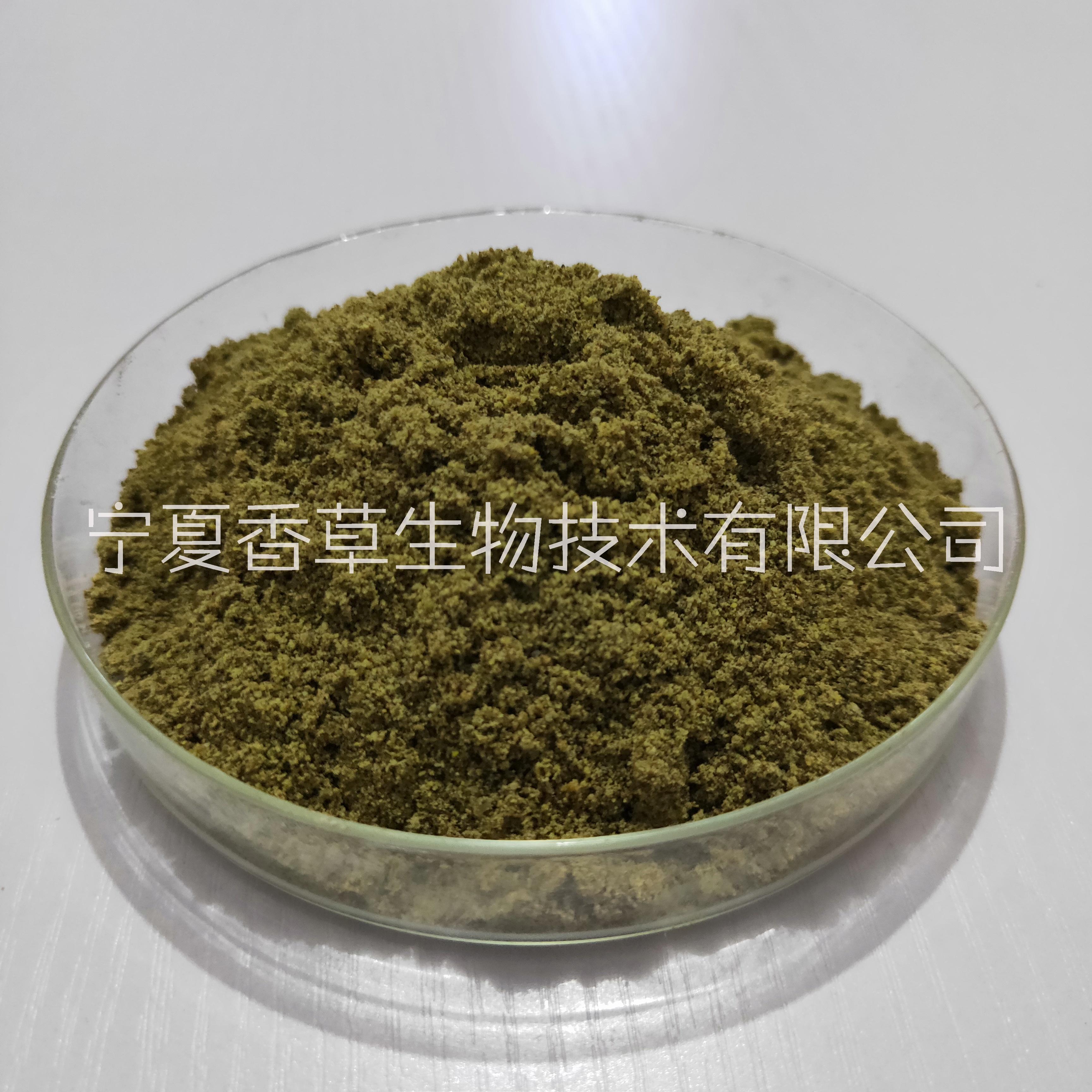 油麦菜籽粉生产厂家 /供应油麦菜叶粉 全粉/油麦菜籽提取物报价图片