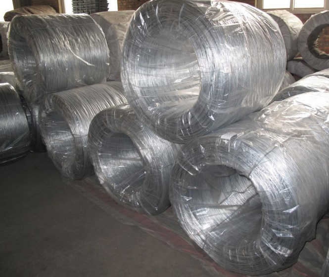 連續(xù)鍍鋅圖片/連續(xù)鍍鋅樣板圖 (3)