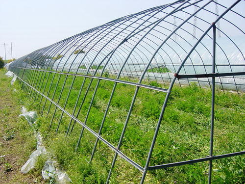 日光溫室圖片/日光溫室樣板圖 (3)