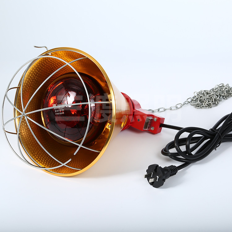 雞苗保溫?zé)魪S家圖片