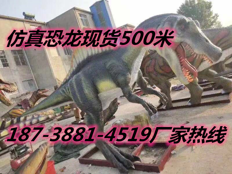 軍事模型圖片/軍事模型樣板圖 (3)