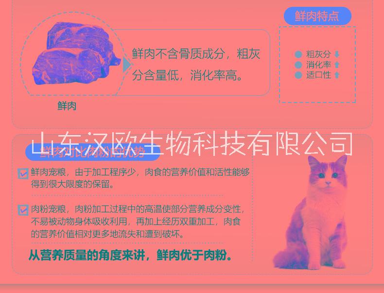 鮮肉圖片/鮮肉樣板圖 (4)