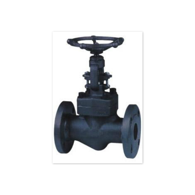 鍛鋼法蘭截止閥圖片/鍛鋼法蘭截止閥樣板圖 (1)