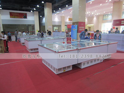 四川大型冷凍柜采購(gòu)什么牌子好