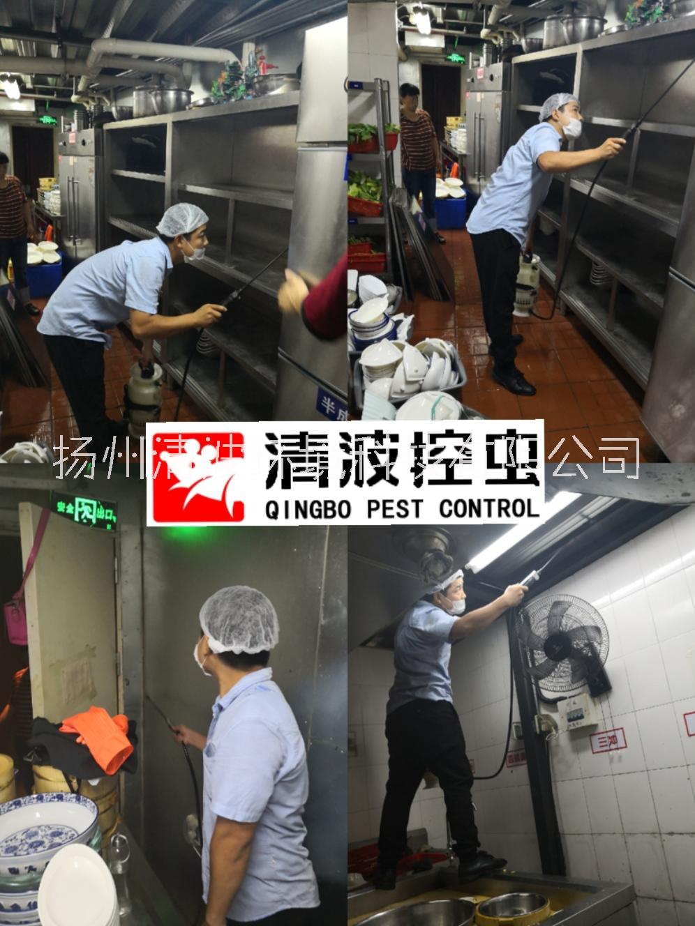 殺蟑螂圖片/殺蟑螂樣板圖 (3)