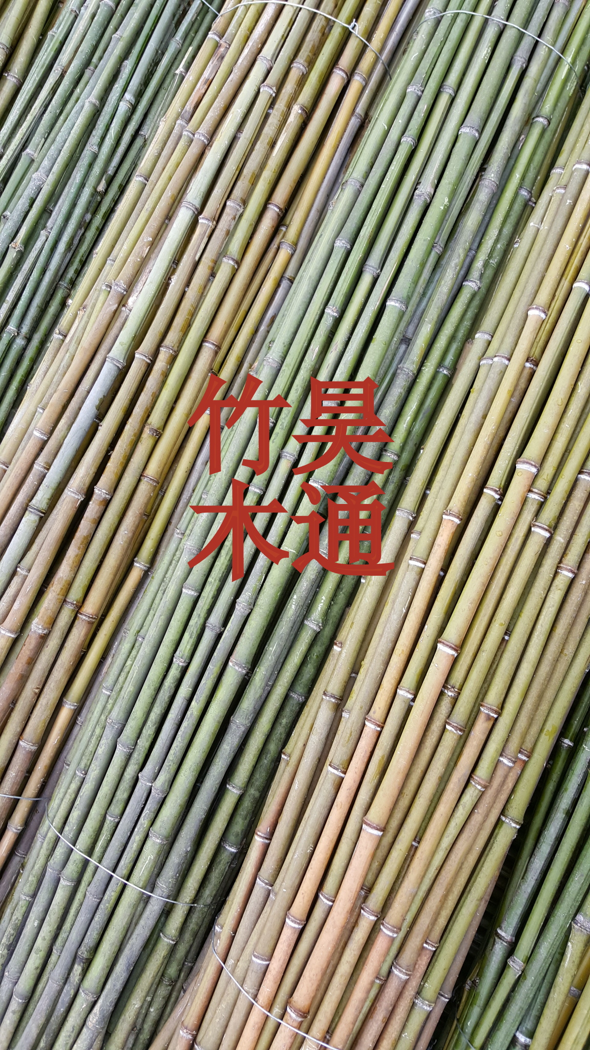 菜架竹竿圖片/菜架竹竿樣板圖 (2)