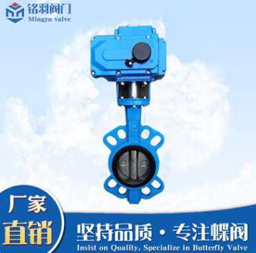 電動對夾蝶閥圖片