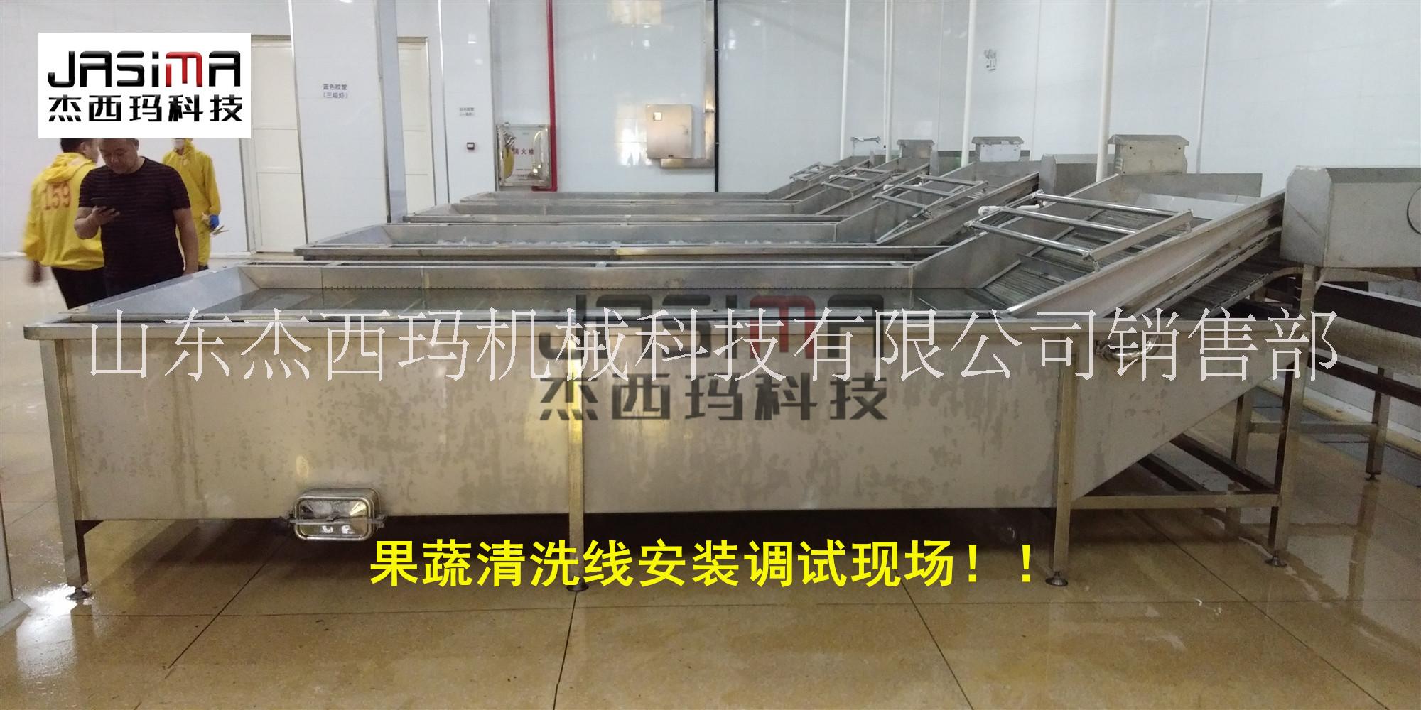 藍(lán)莓水果清洗機 葡萄清洗機