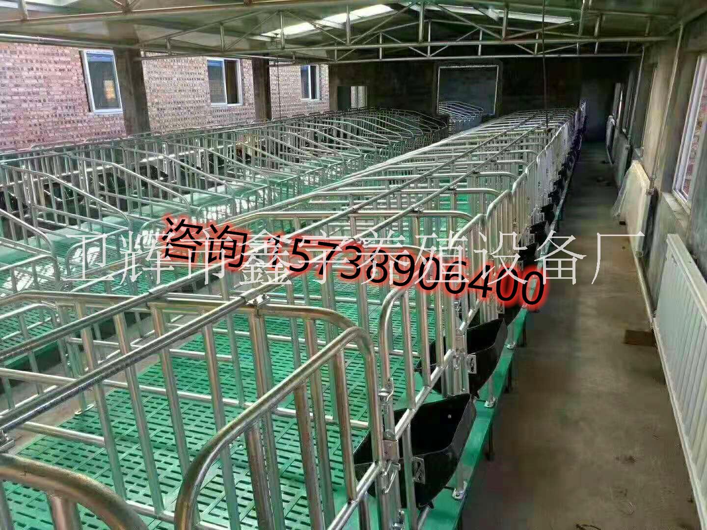 母豬限位欄圖片/母豬限位欄樣板圖 (3)