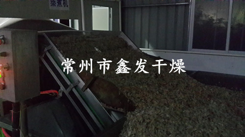 小龍蝦圖片/小龍蝦樣板圖 (2)