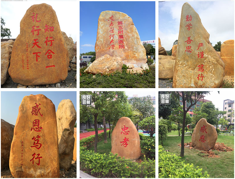 學(xué)校黃蠟石圖片/學(xué)校黃蠟石樣板圖 (2)