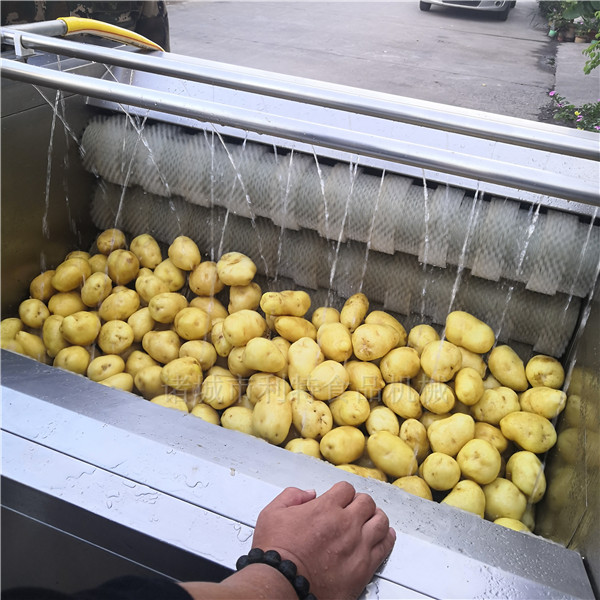 姜去皮機(jī)圖片/姜去皮機(jī)樣板圖 (4)