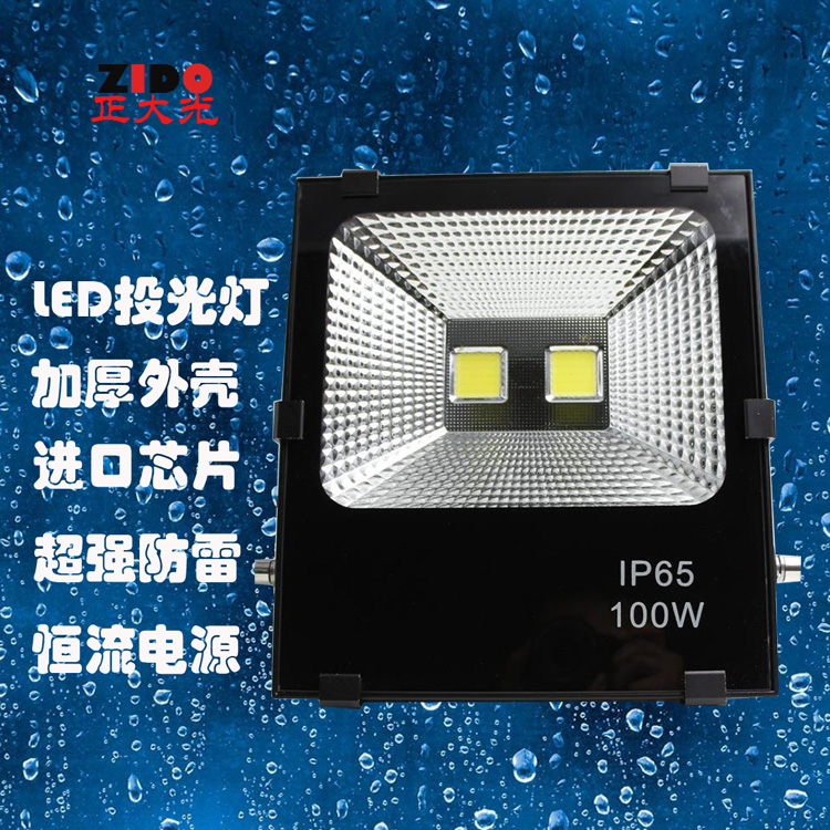 100W集成投光燈圖片