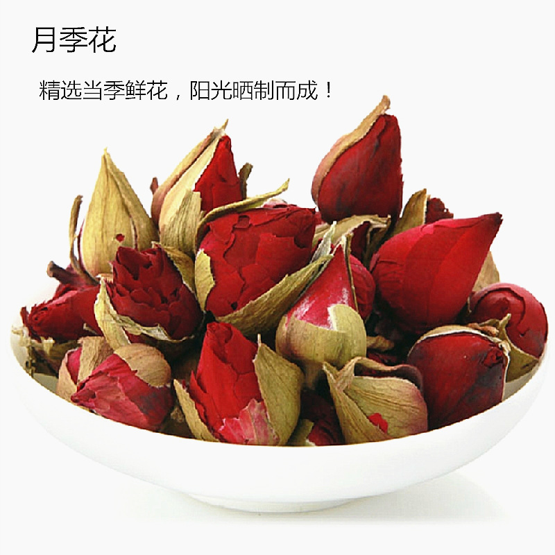 月季花圖片/月季花樣板圖 (3)