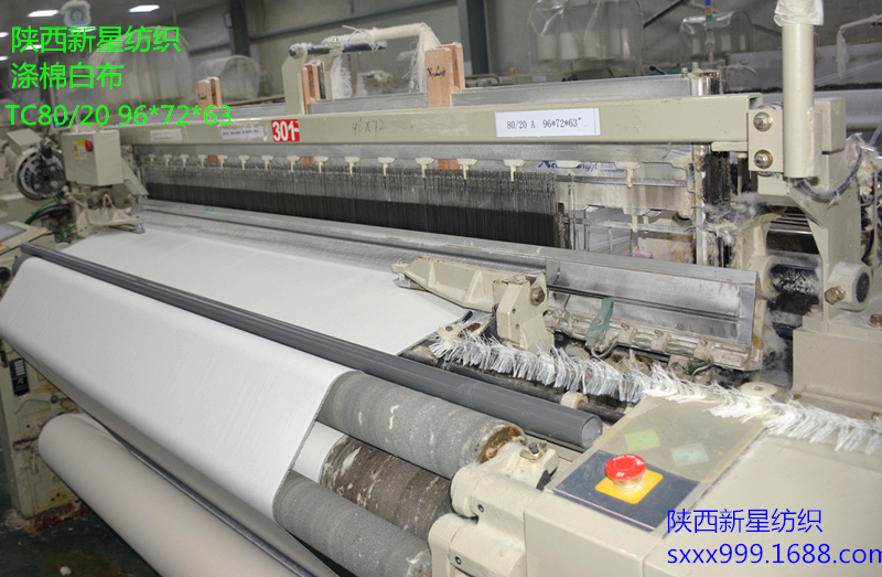 滌棉白胚布圖片/滌棉白胚布樣板圖 (2)