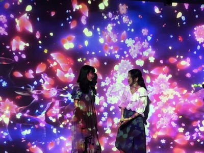 AR夢幻花海鯨魚島租賃互動光影展圖片