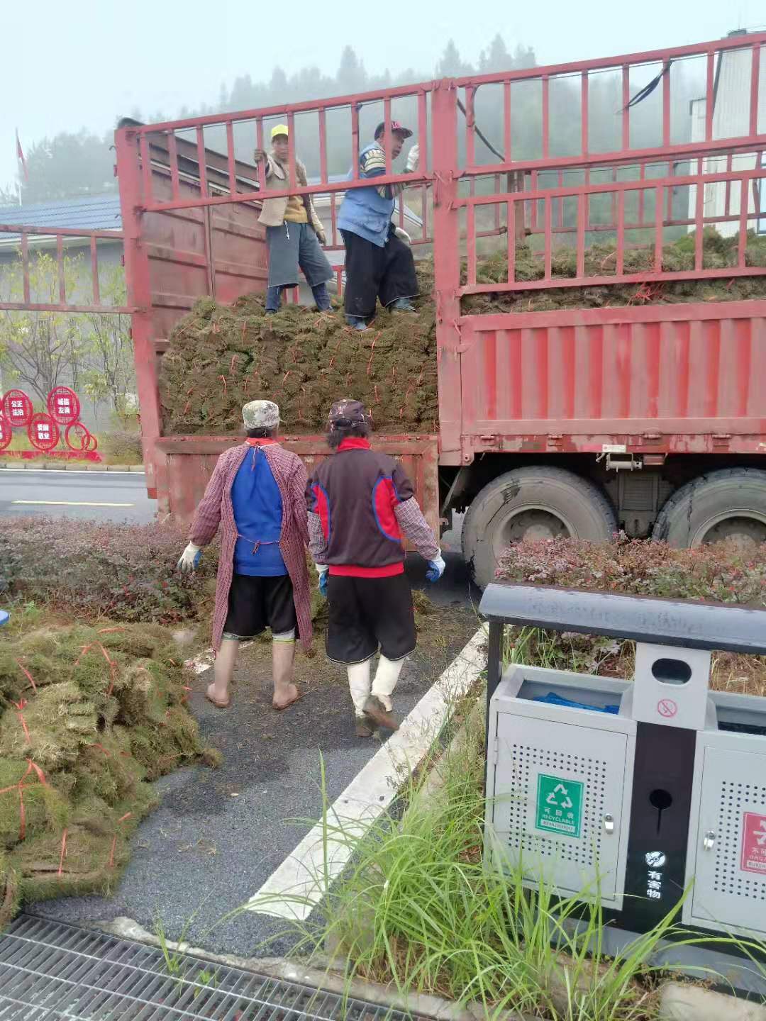 草坪直銷圖片/草坪直銷樣板圖 (2)