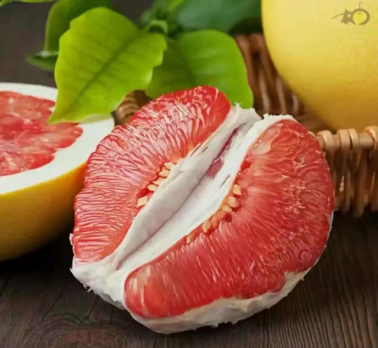 三紅蜜柚廠家圖片