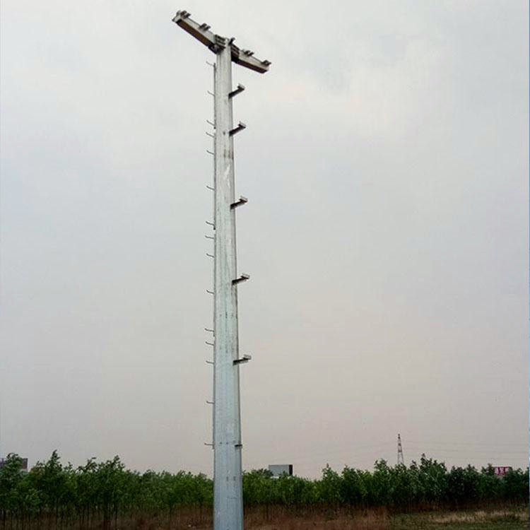 北京雙回路電力鋼桿圖片/北京雙回路電力鋼桿樣板圖 (3)