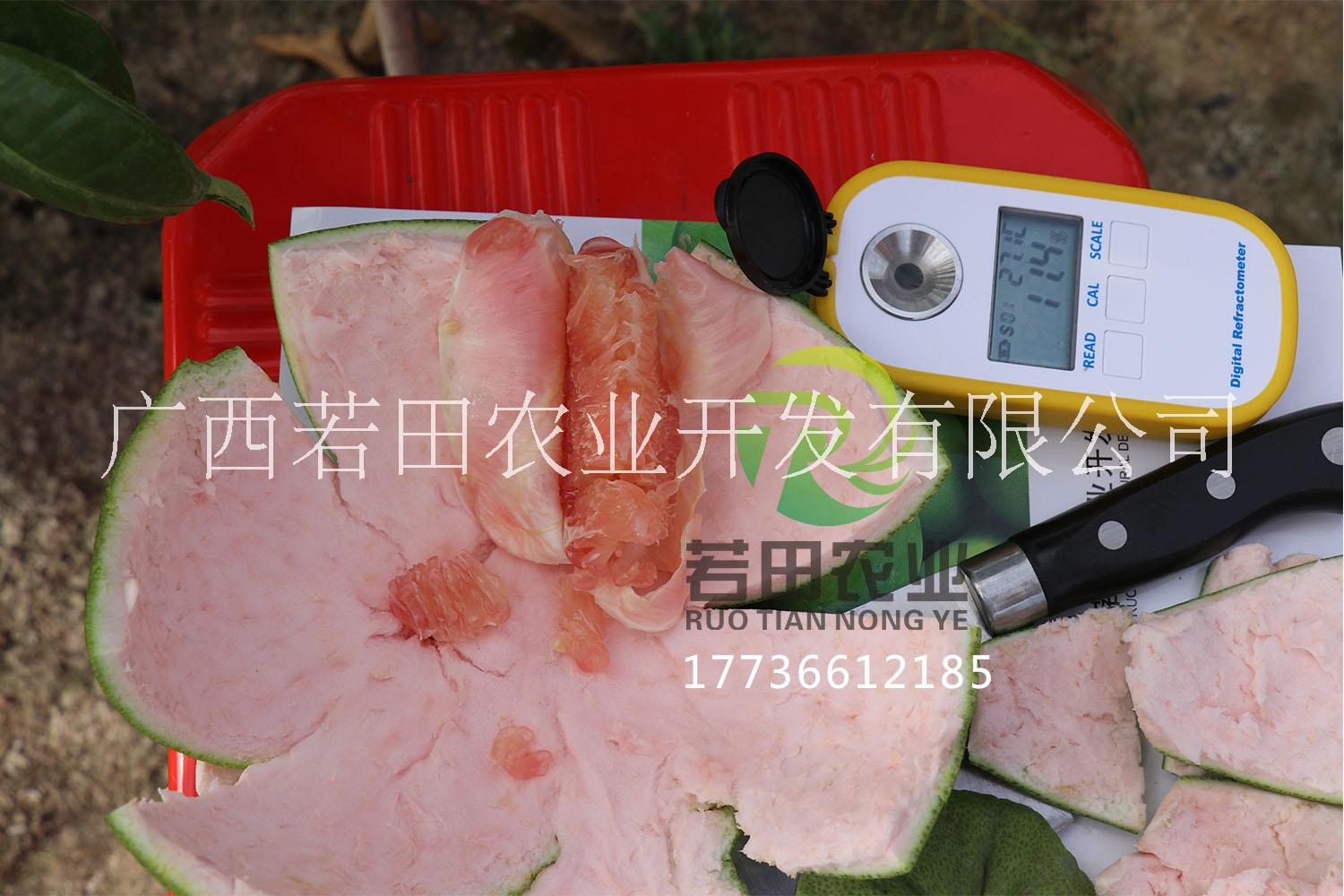 紅寶石圖片/紅寶石樣板圖 (3)