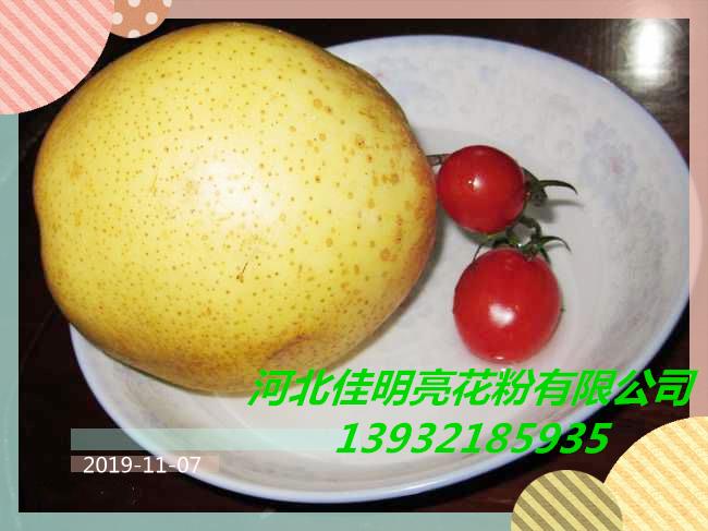 趙縣圖片/趙縣樣板圖 (4)