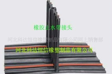 鋼邊橡膠止水帶圖片/鋼邊橡膠止水帶樣板圖 (3)