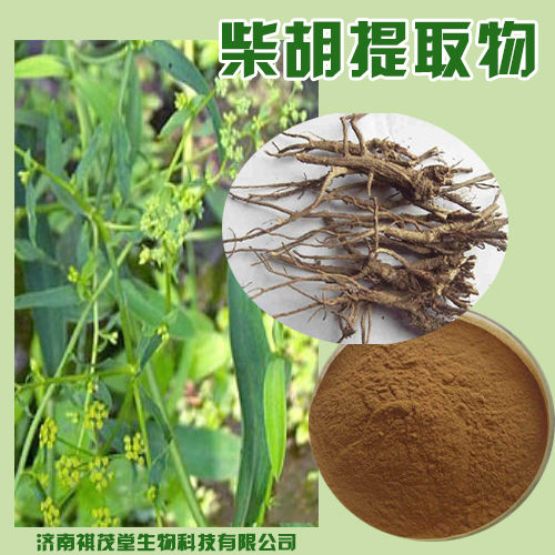 柴胡提取物圖片