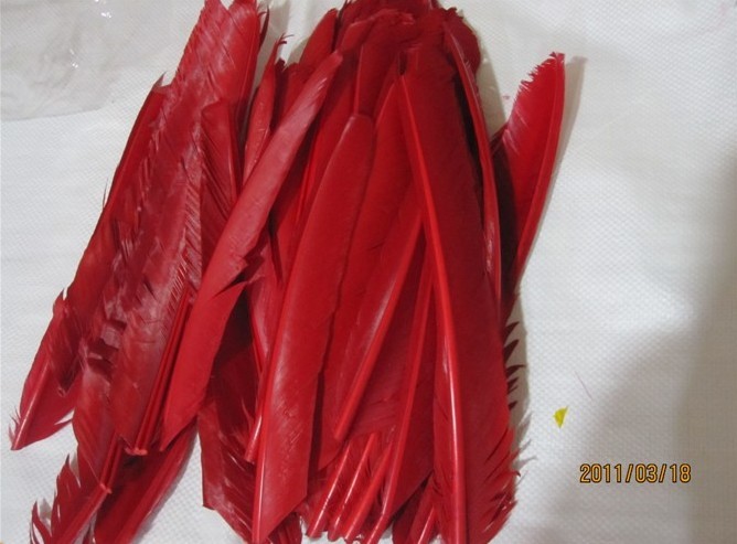 福建裝飾箭 價(jià)格保證 紅刀翎