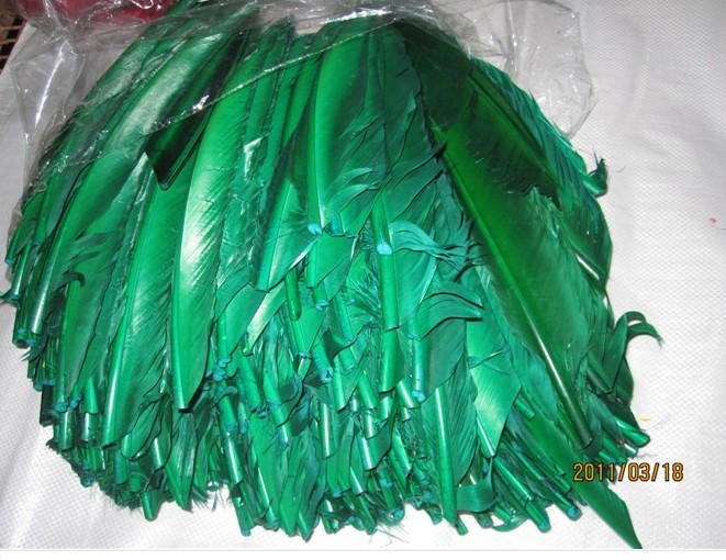 綠刀翎圖片/綠刀翎樣板圖 (1)