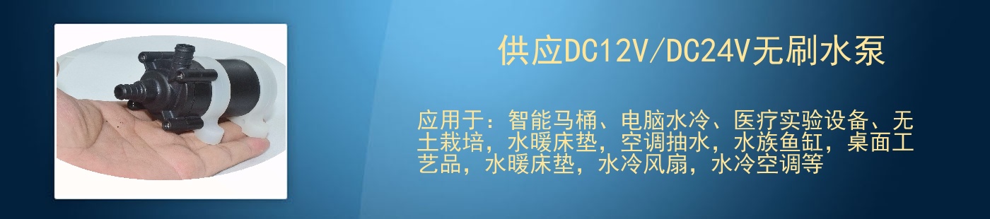 供应DC12V/DC24V无刷水泵