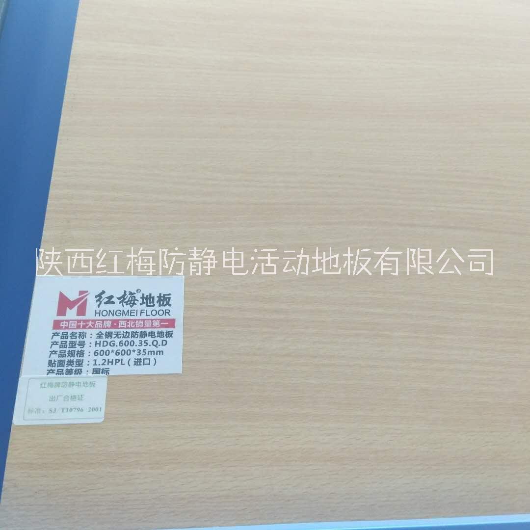 防靜電地板圖片/防靜電地板樣板圖 (3)