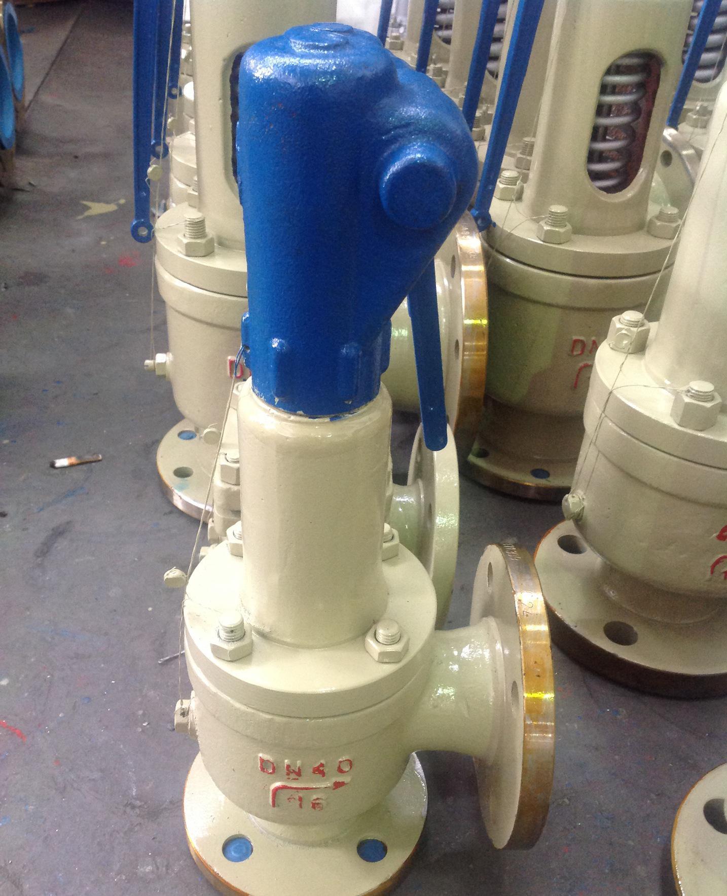 全啟式安全閥圖片/全啟式安全閥樣板圖 (1)