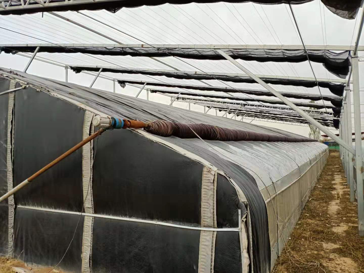 日光溫室圖片/日光溫室樣板圖 (3)