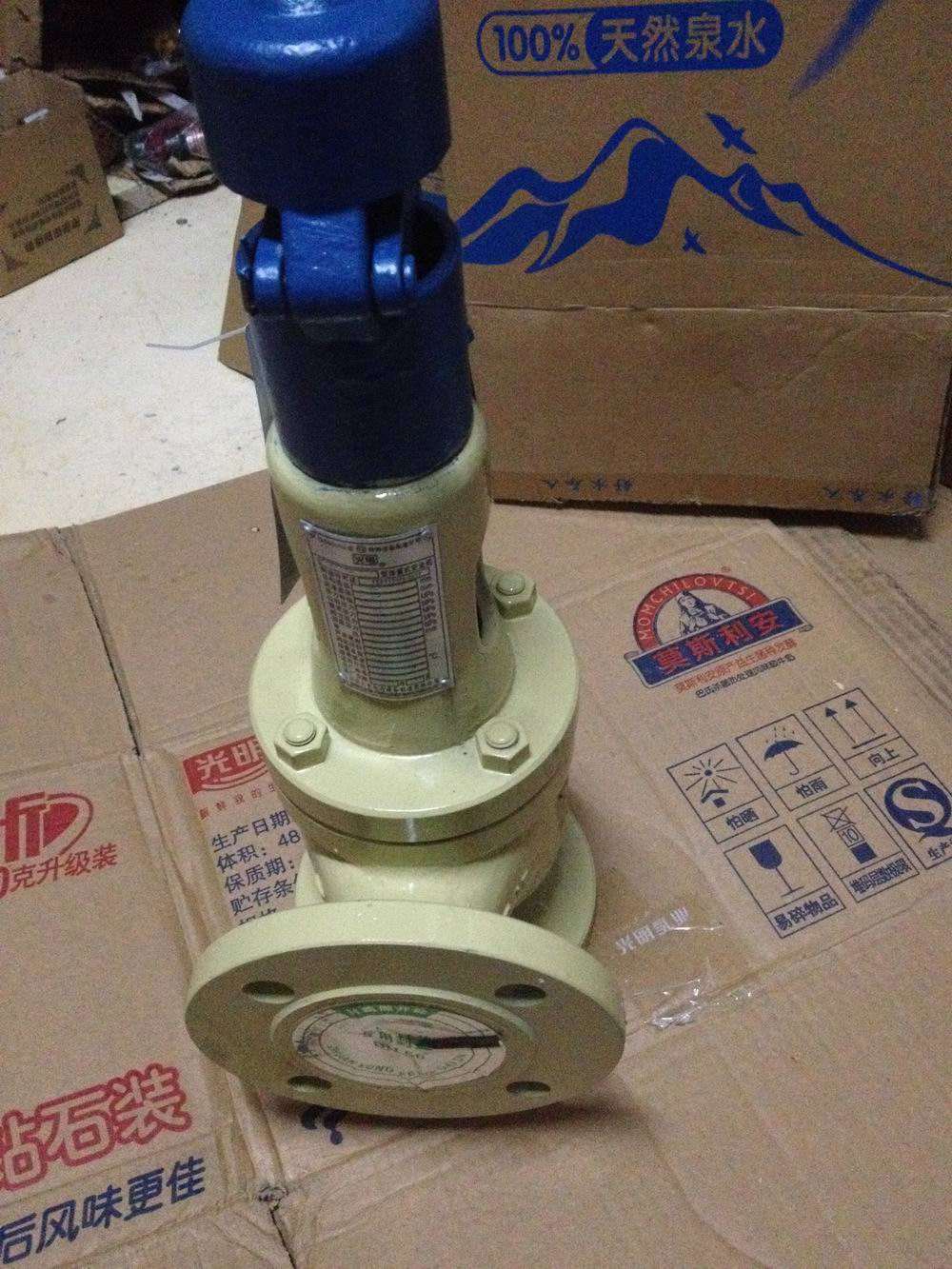 全啟式安全閥圖片/全啟式安全閥樣板圖 (2)