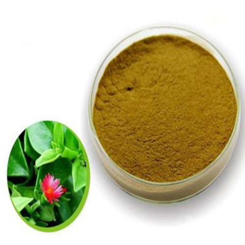 穿心蓮提取物圖片/穿心蓮提取物樣板圖 (2)