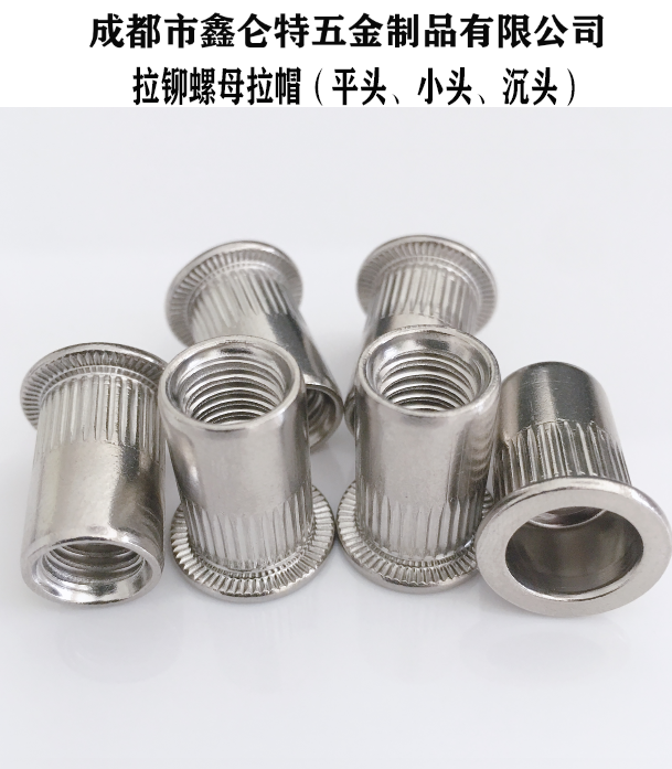 供應(yīng)重慶成都抽芯鉚釘4*10拉釘圖片/供應(yīng)重慶成都抽芯鉚釘4*10拉釘樣板圖 (3)
