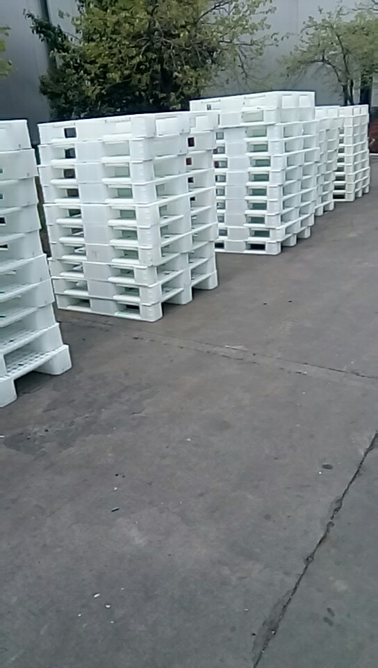 廠家直銷食品企業(yè)*的全新塑膠托盤