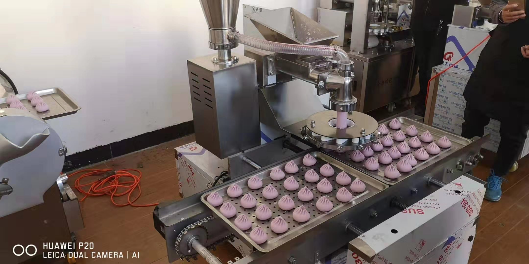 全自動包子擺盤機(jī)圖片/全自動包子擺盤機(jī)樣板圖 (2)