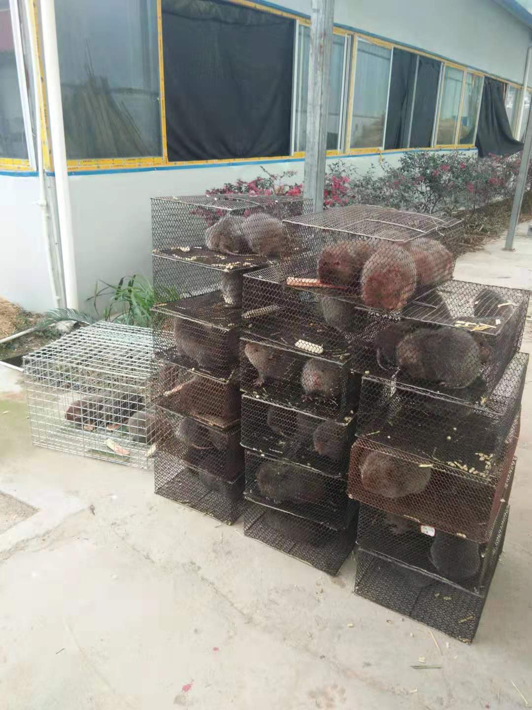 廣西桂林圖片/廣西桂林樣板圖 (3)