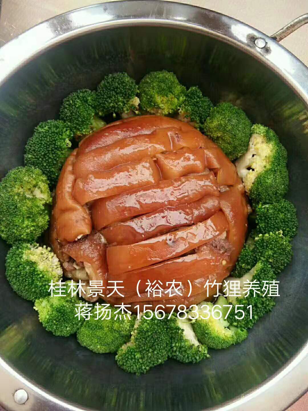 商品竹鼠長(zhǎng)期供應(yīng)圖片