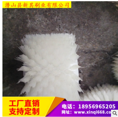 毛刷輪圖片/毛刷輪樣板圖 (3)