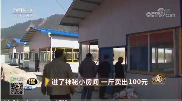 廣西人工竹鼠養(yǎng)殖圖片/廣西人工竹鼠養(yǎng)殖樣板圖 (2)