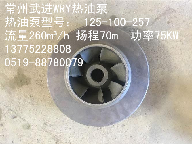 常州高效热油泵叶轮（75KW）WRY125-100-257品质保证价格优惠图片