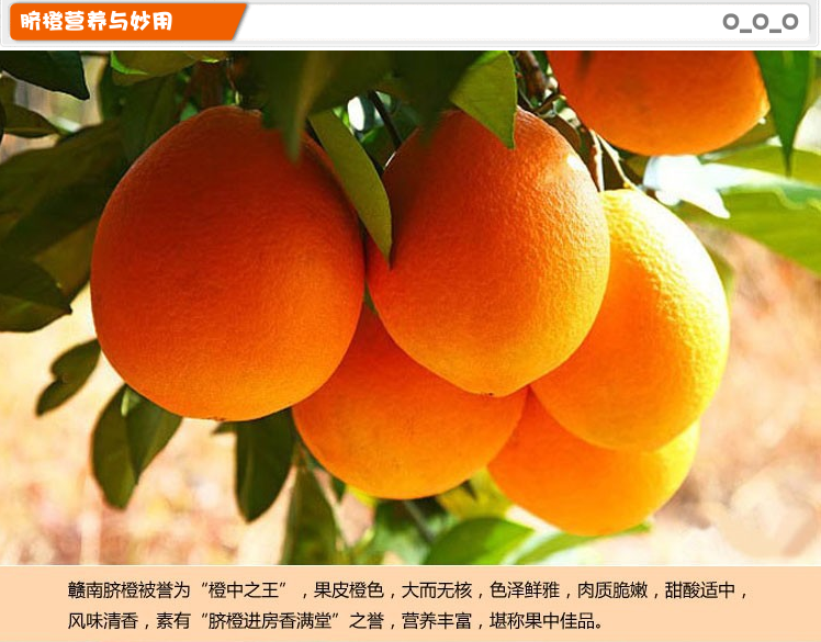 贛南臍橙供應(yīng)鏈廠家圖片