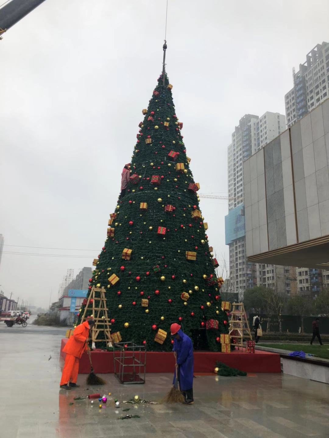 圣誕樹圖片/圣誕樹樣板圖 (4)