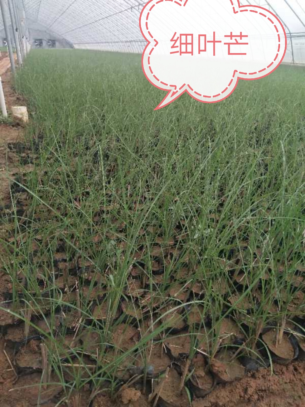 陜西西安圖片/陜西西安樣板圖 (1)