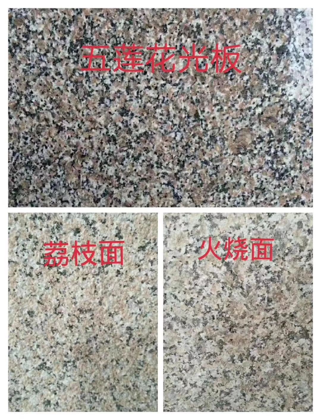 五蓮花光板圖片