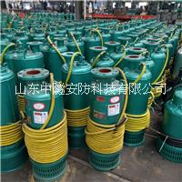 BQS200-30-37/N圖片/BQS200-30-37/N樣板圖 (2)