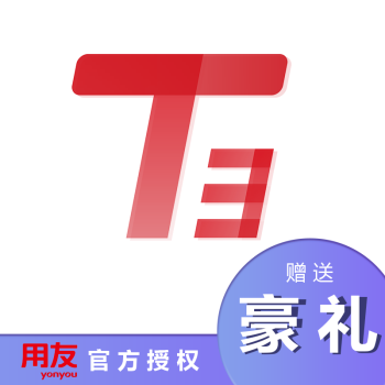 T3图片